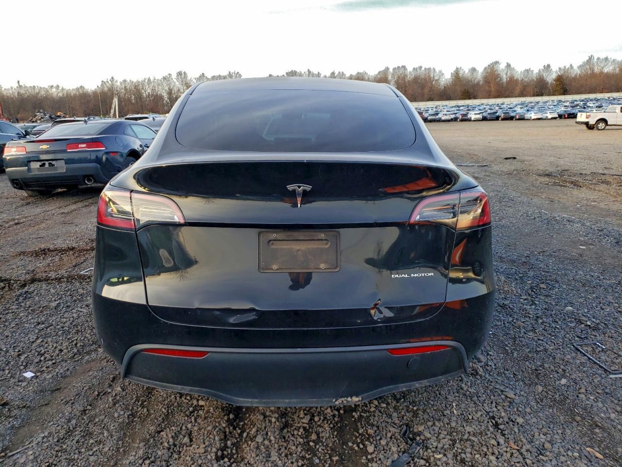 2023 Tesla Model Y - Фото 6