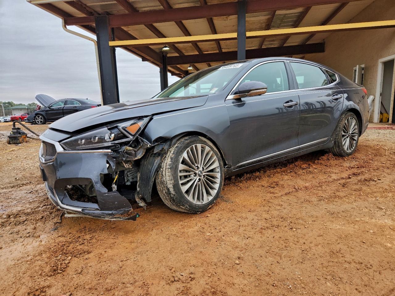 2019 Kia Cadenza Luxury