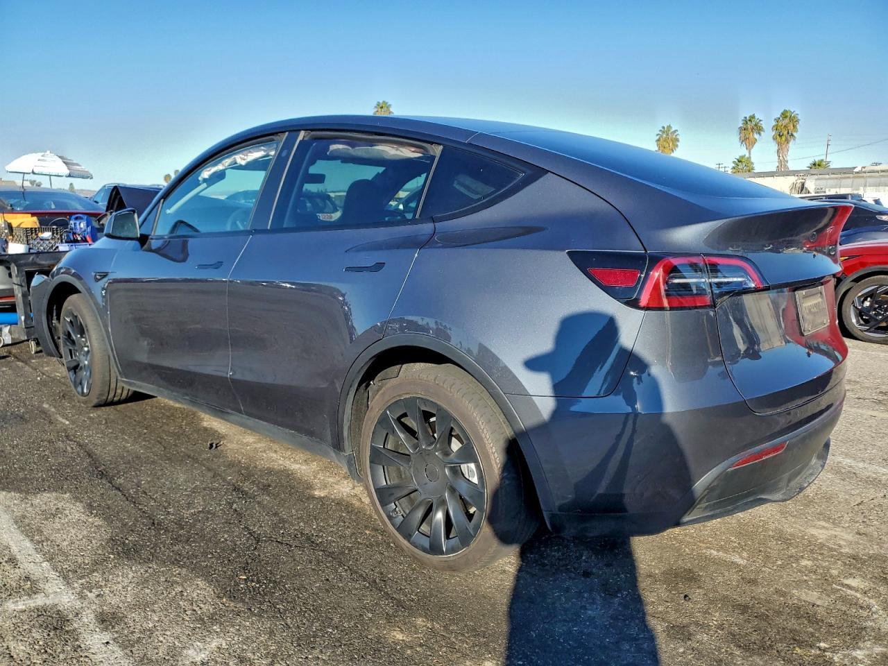 2023 Tesla Model Y - Фото 2