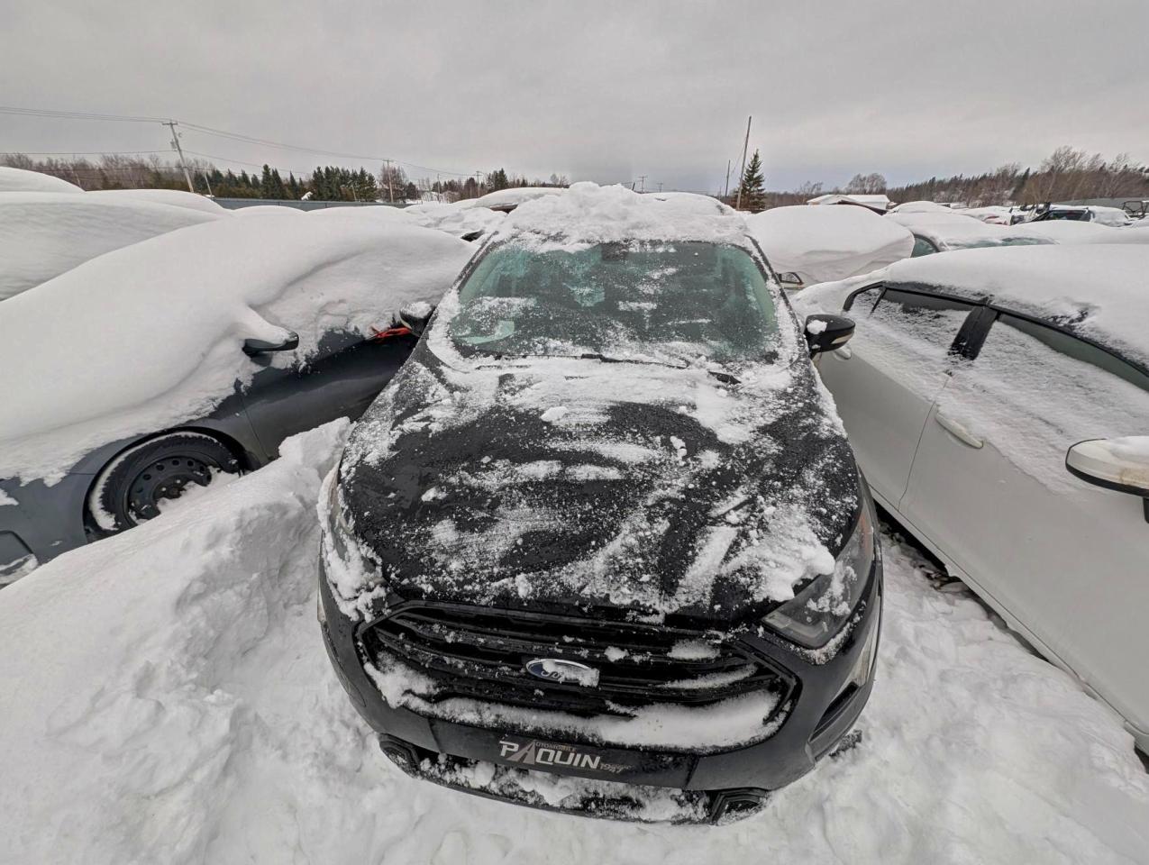 2019 Ford Ecosport Ses - Фото 5