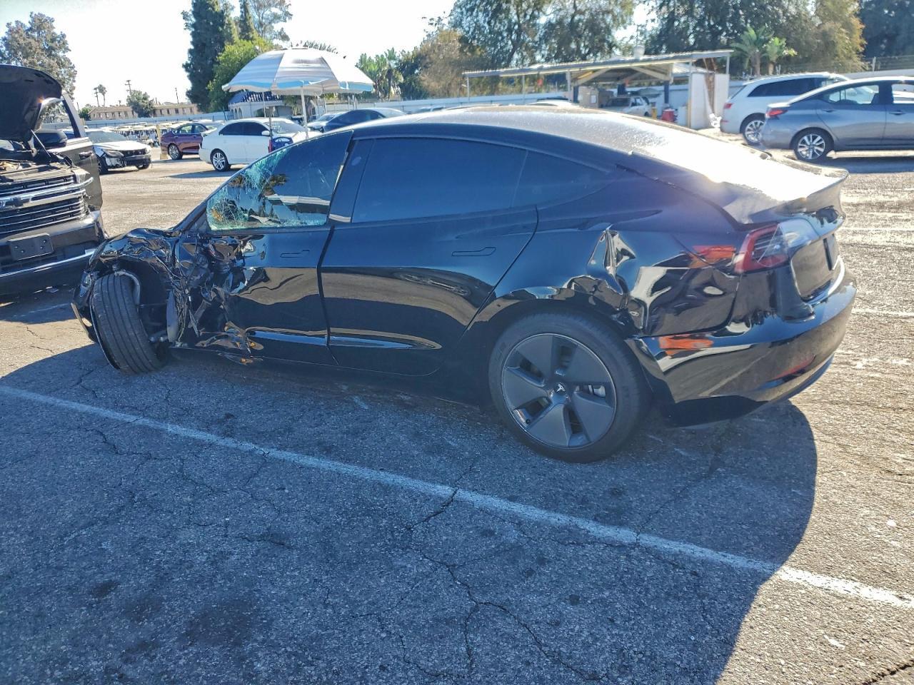 2023 Tesla Model 3 - Фото 2