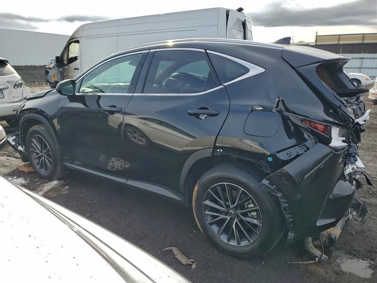 2025 Lexus Nx 350 Premium - Фото 2