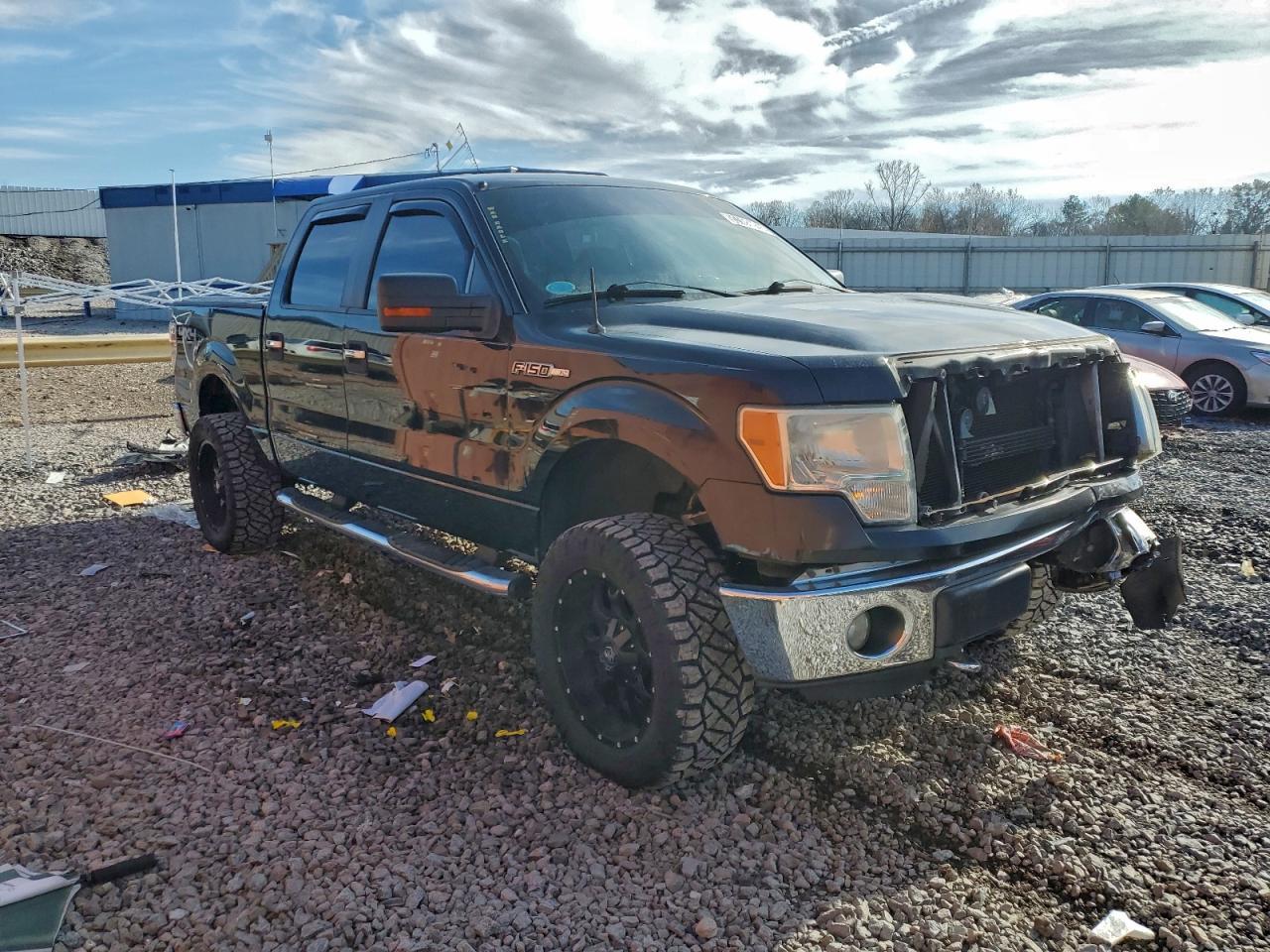 2010 Ford F-150 - Фото 4