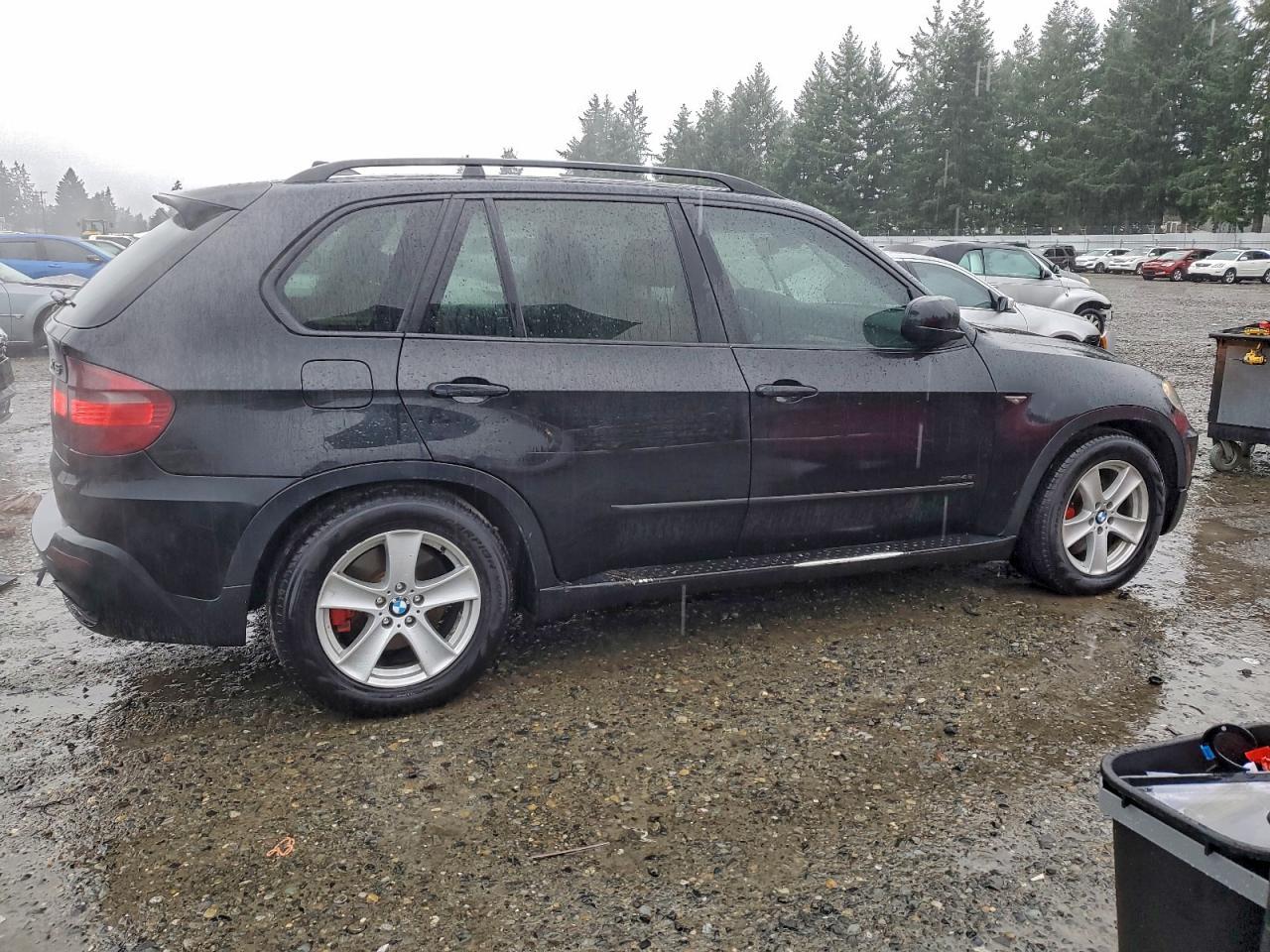 2010 BMW X5 xDrive48I - Фото 3