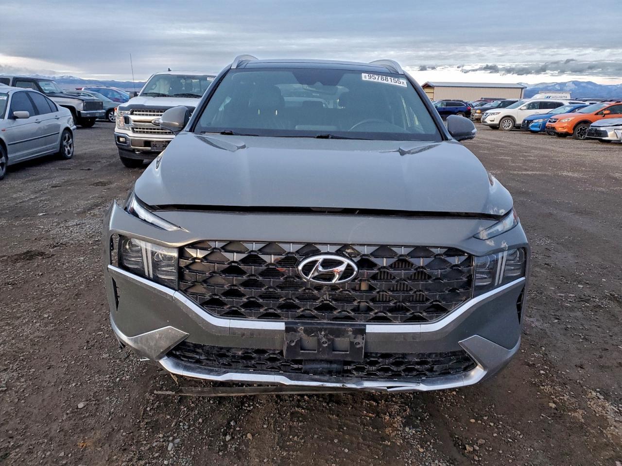 2022 Hyundai Santa Fe Calligraphy - Фото 5