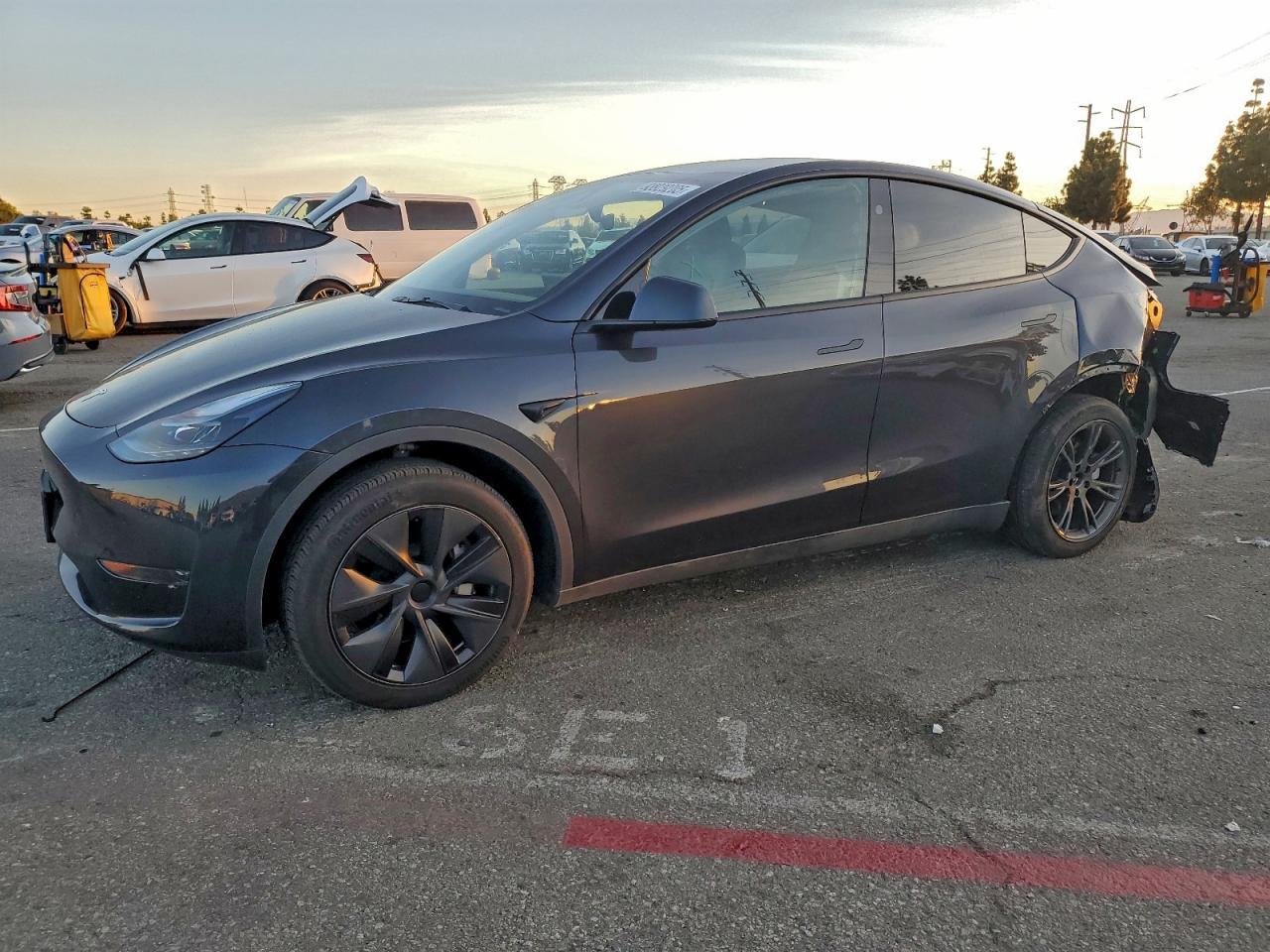 2025 Tesla Model Y