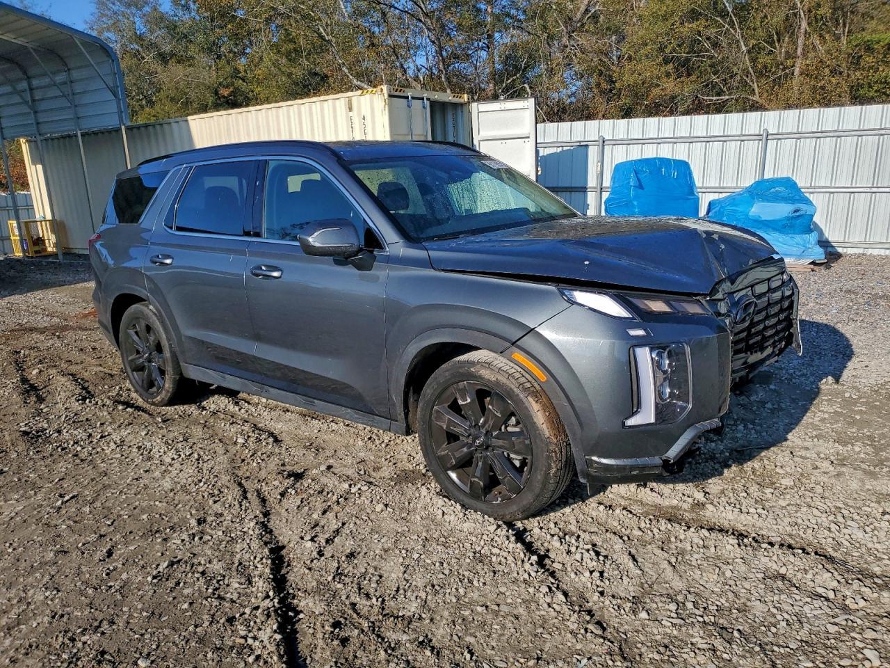 2024 Hyundai Palisade Xrt - Фото 4
