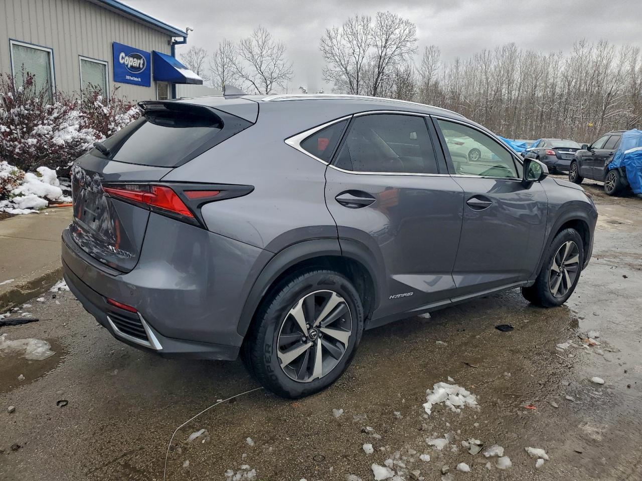2018 Lexus Nx 300H - Фото 3