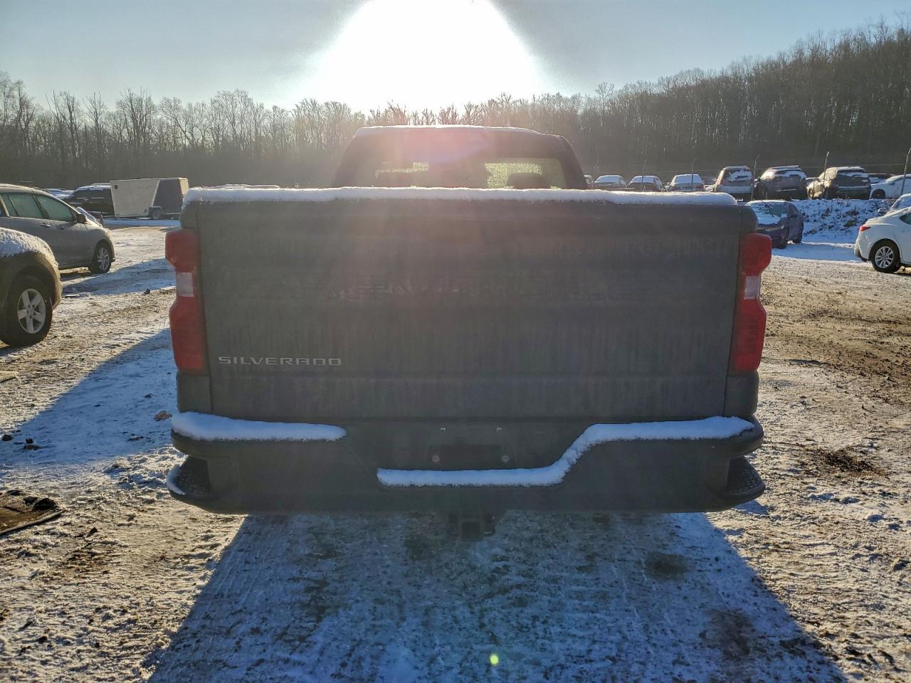 2020 Chevrolet Silverado K1500 - Фото 6