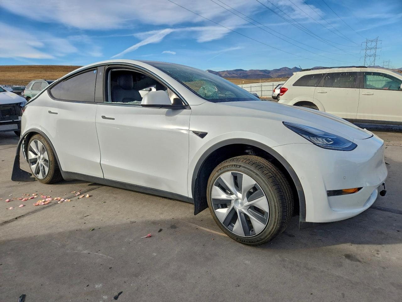 2022 Tesla Model Y - Image 4