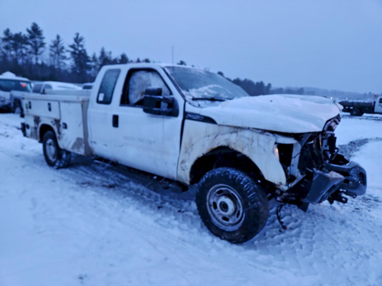 2016 Ford F250 Super Duty - Фото 4
