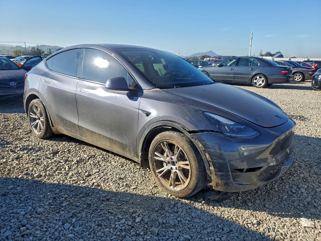 2023 Tesla Model Y - Фото 4