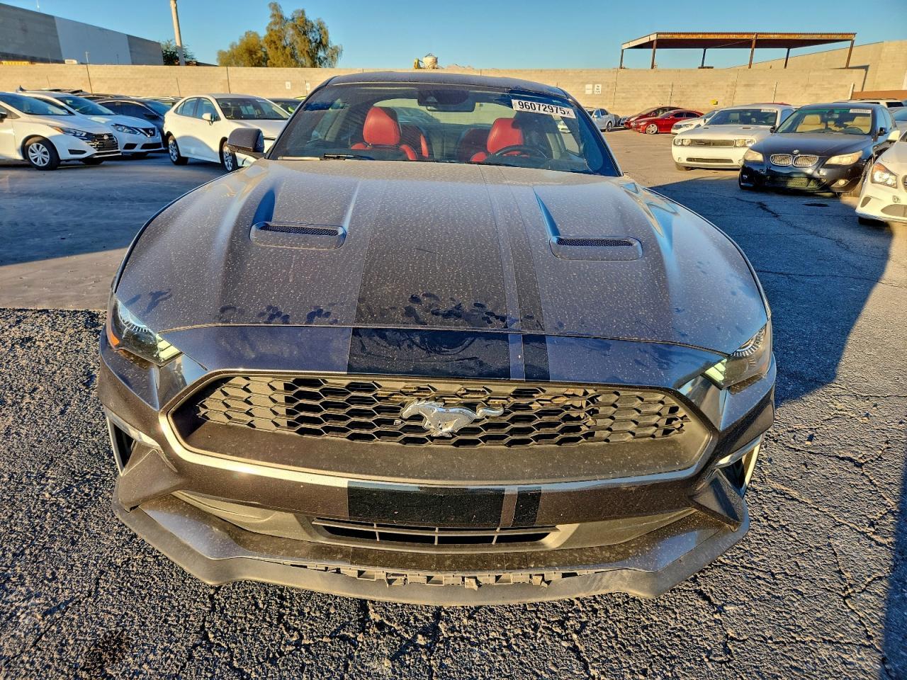 2019 Ford Mustang - Image 5