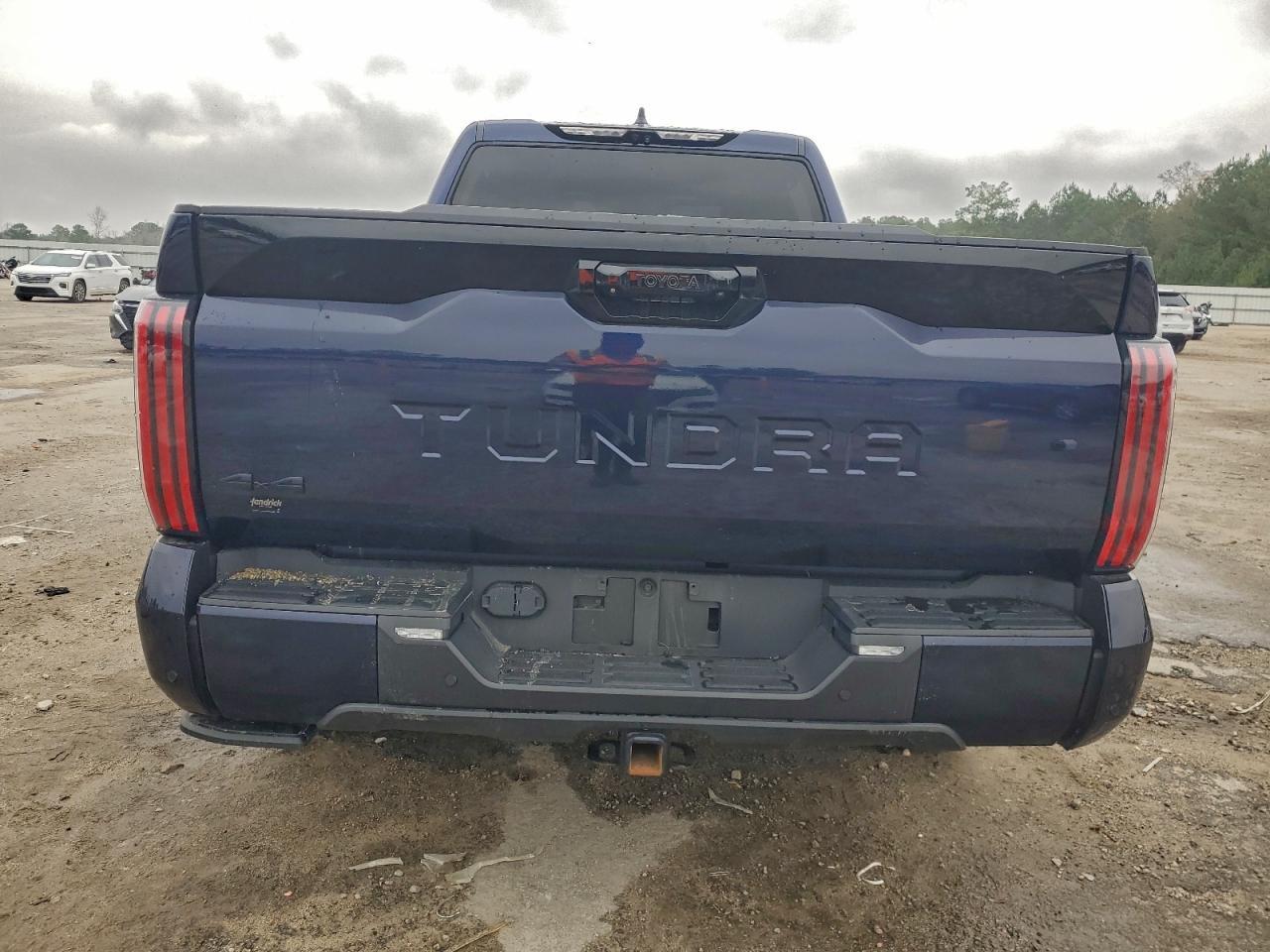 2023 Toyota Tundra Crewmax Platinum - Фото 6