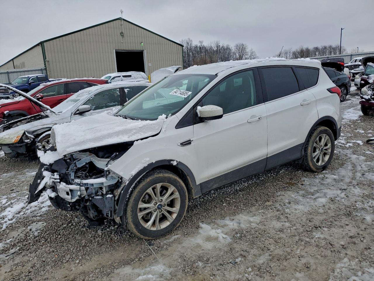 2019 Ford Escape Se