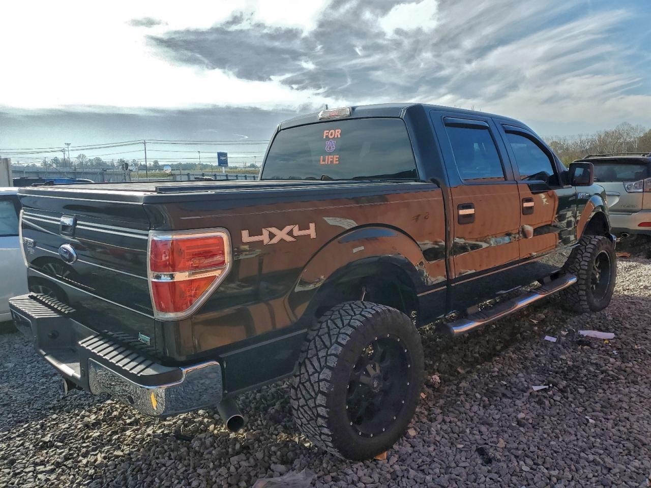 2010 Ford F-150 - Фото 3