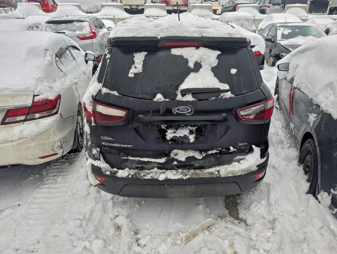 2019 Ford Ecosport Ses - Фото 6