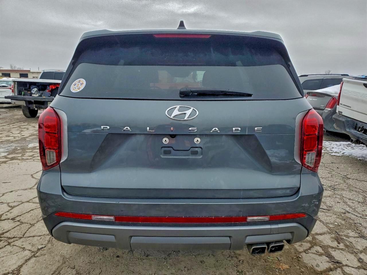 2024 Hyundai Palisade Sel - Фото 6