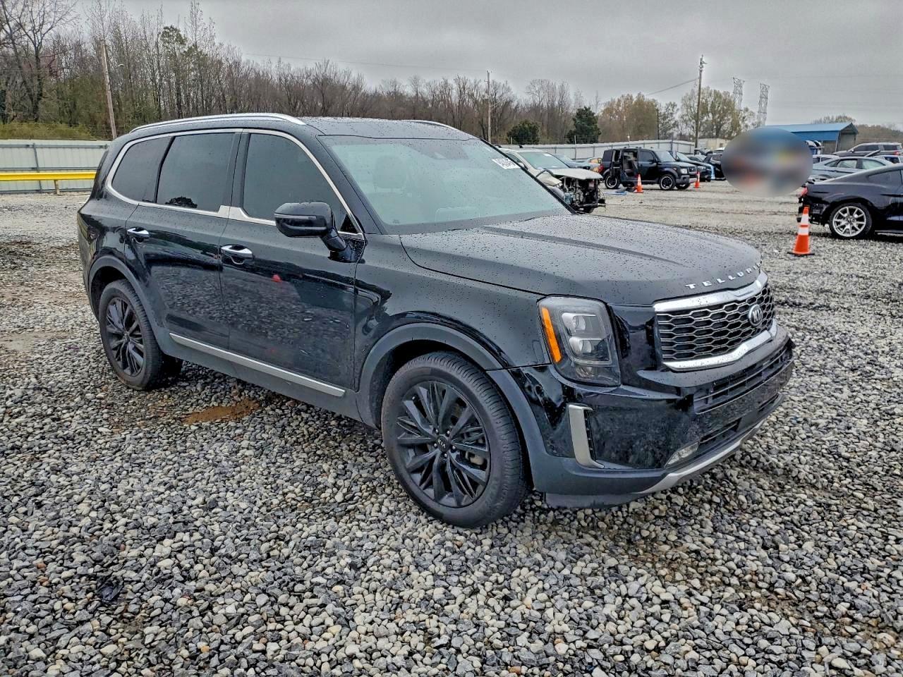 2021 Kia Telluride Sx - Фото 4