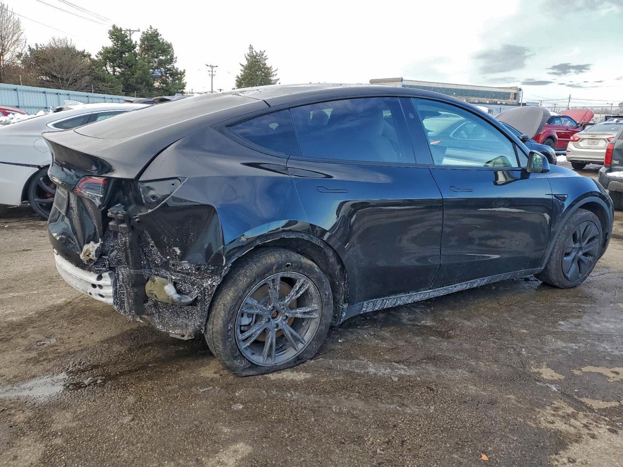 2024 Tesla Model Y - Фото 3