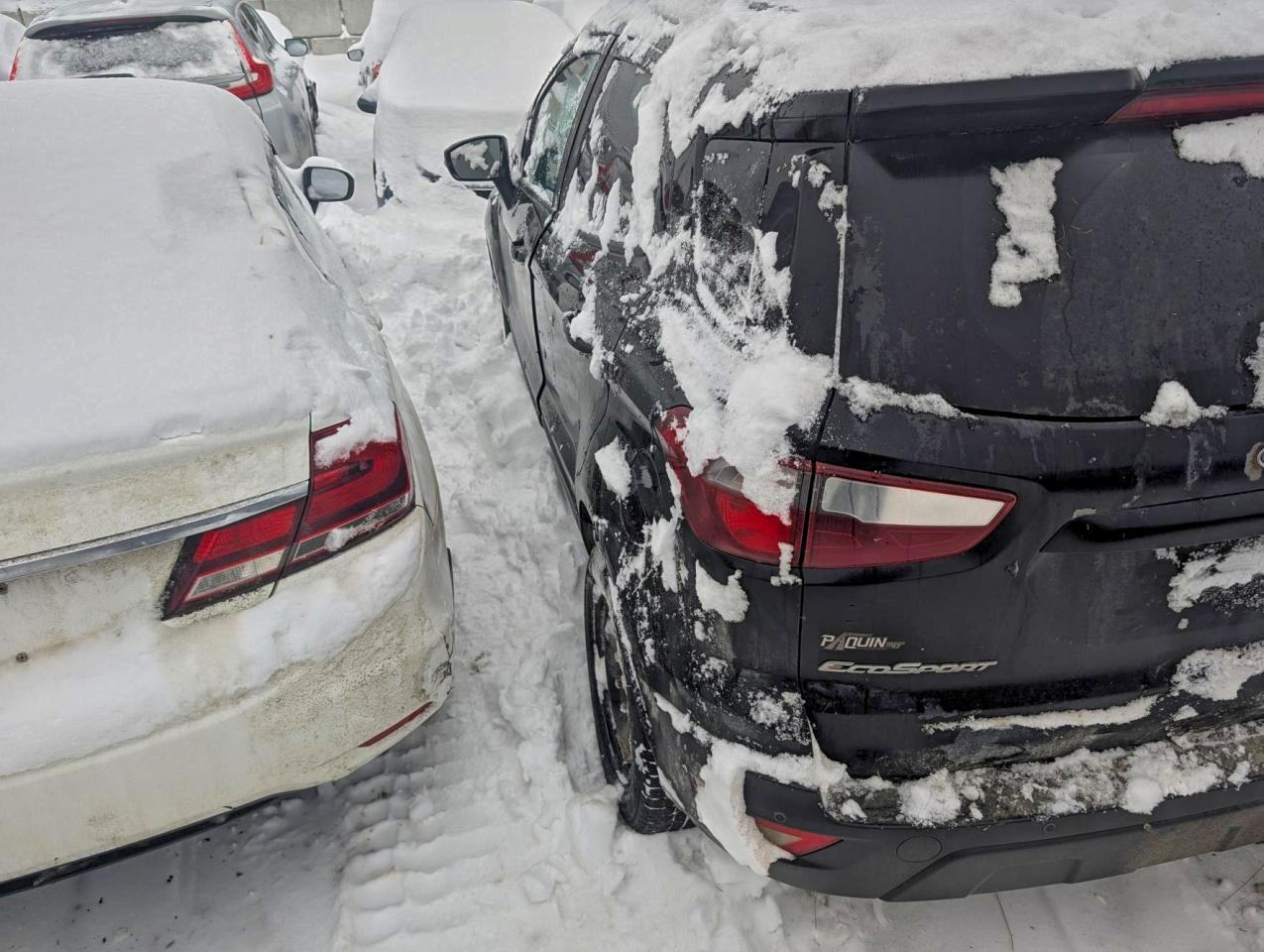 2019 Ford Ecosport Ses - Фото 2