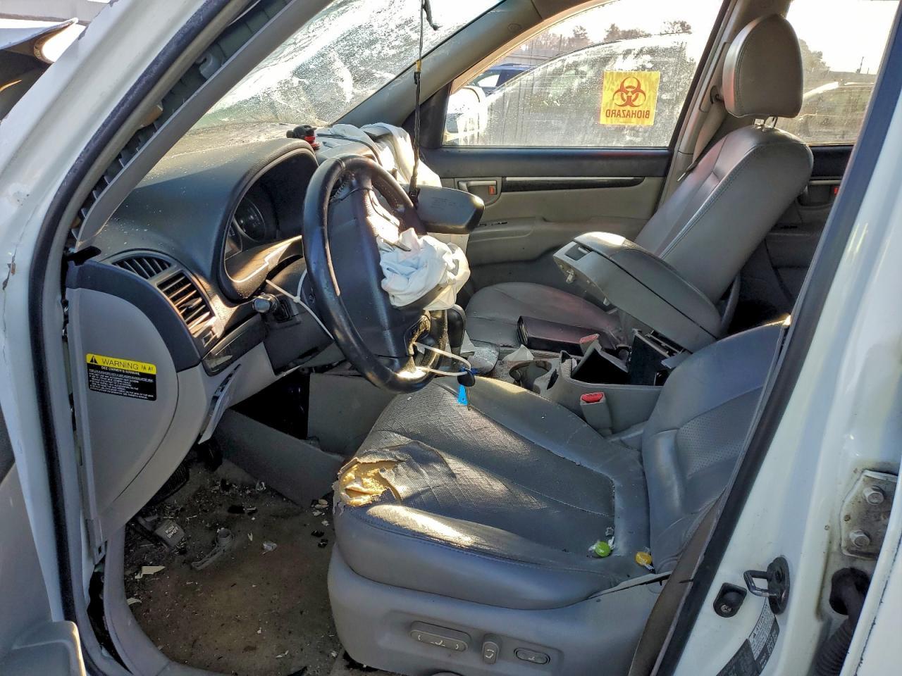 2007 Hyundai Santa Fe Se - Фото 7