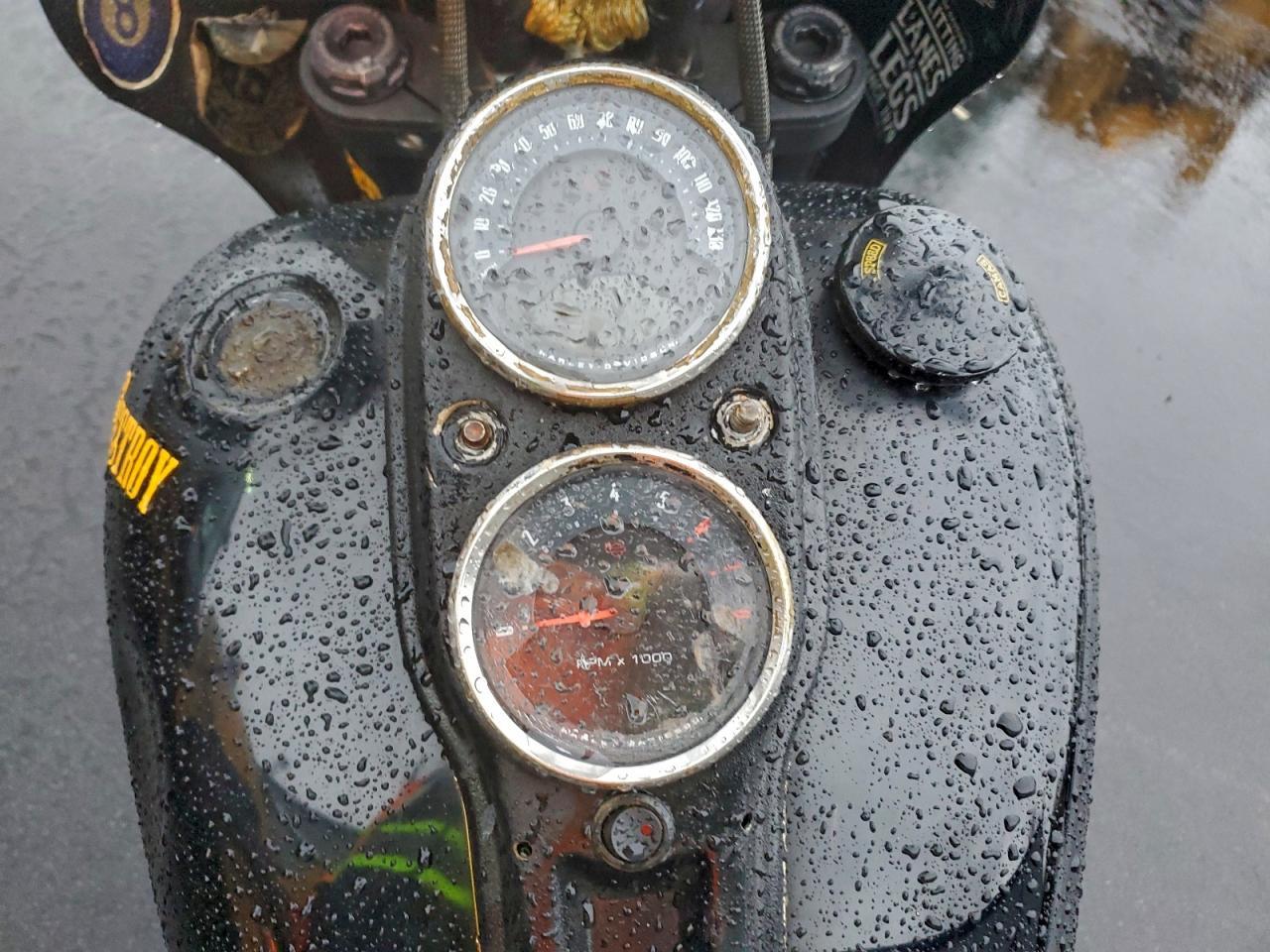 2021 Harley-Davidson Fxlrs - Фото 7