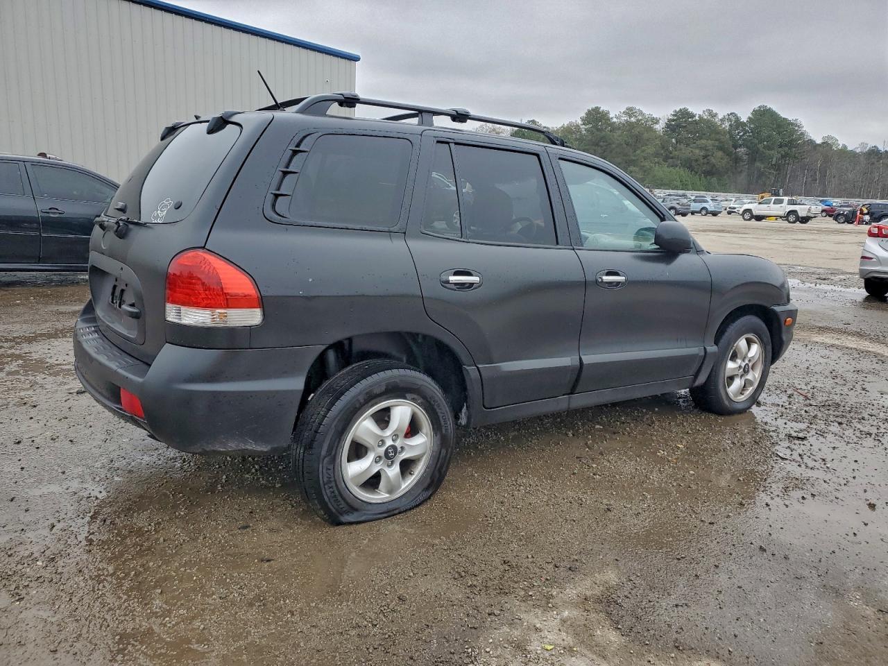 2005 Hyundai Santa Fe Gls - Фото 3