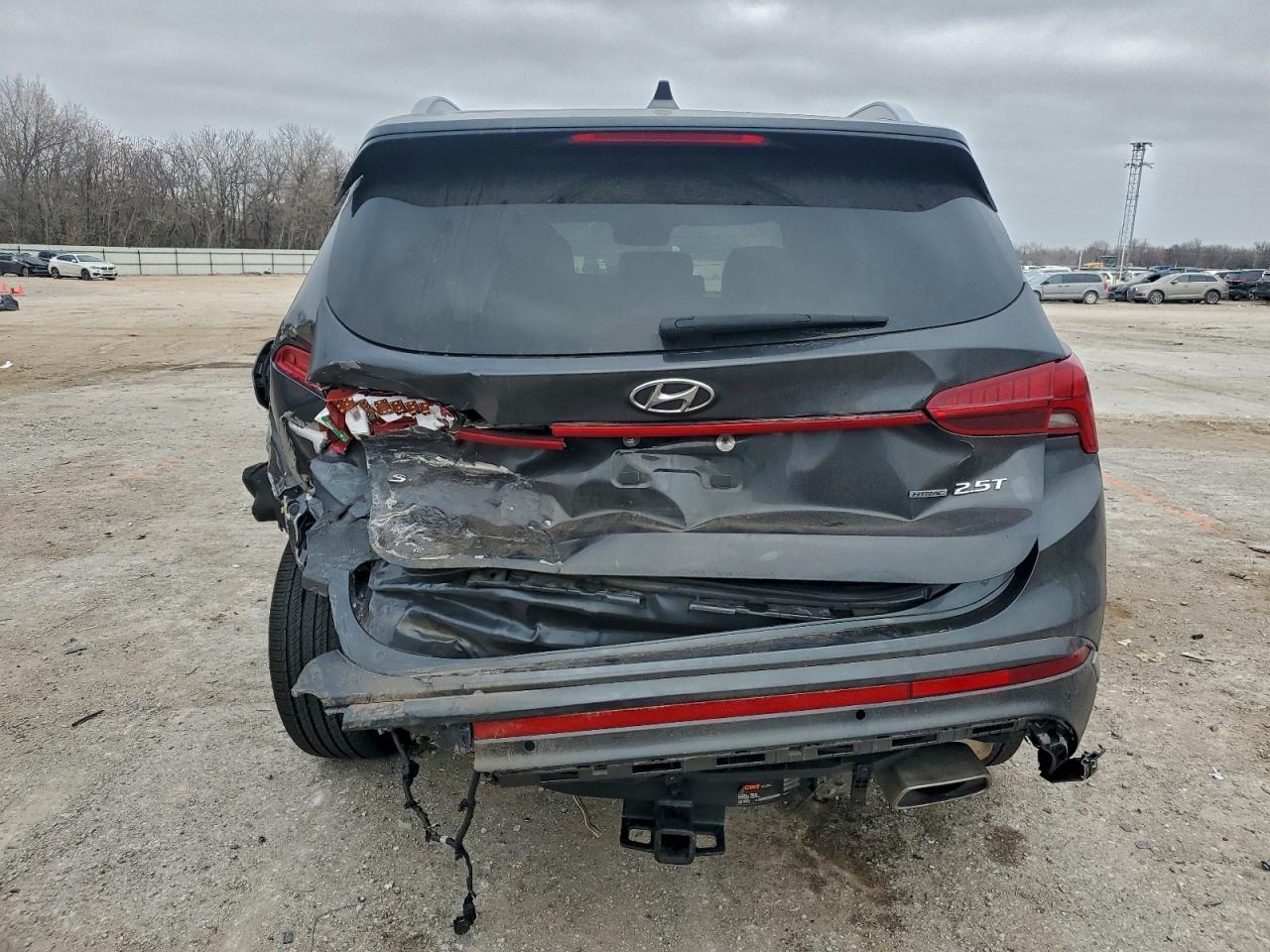 2021 Hyundai Santa Fe Calligraphy - Фото 6