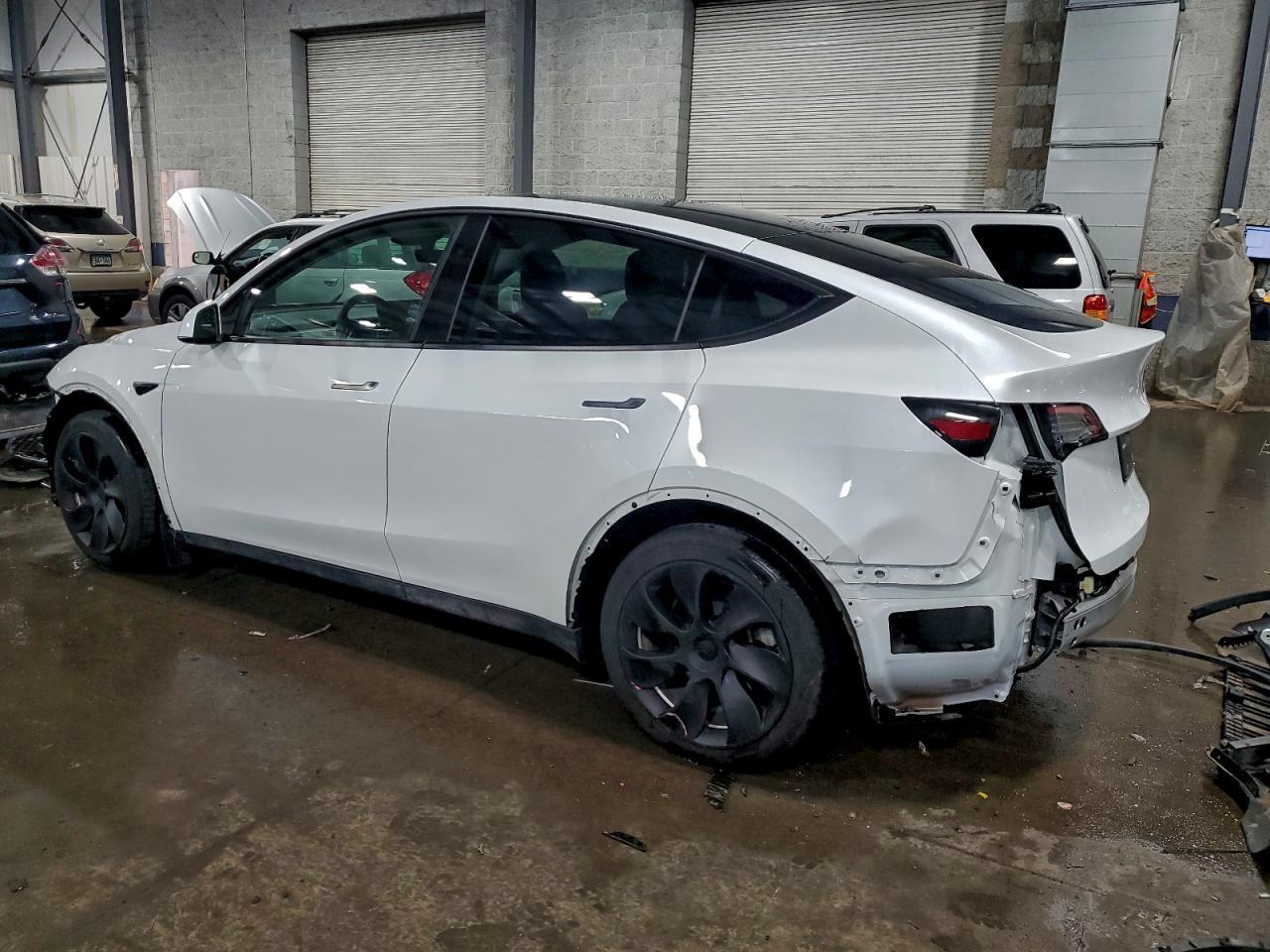 2023 Tesla Model Y - Фото 2