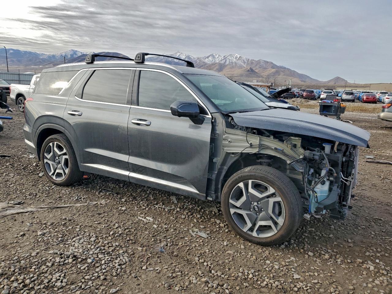 2025 Hyundai Palisade Sel Premium - Фото 4