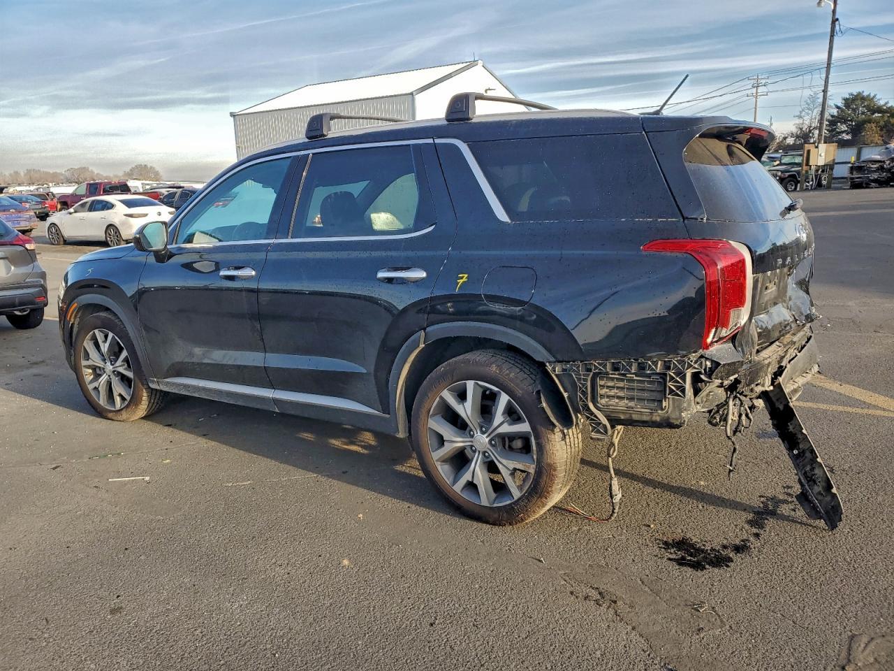 2020 Hyundai Palisade Sel - Фото 2