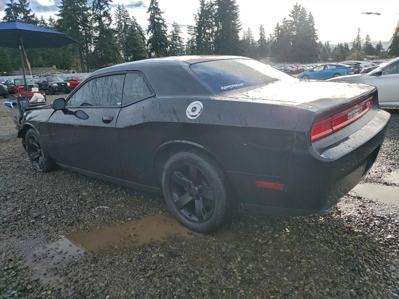 2013 Dodge Challenger Sxt - Фото 2