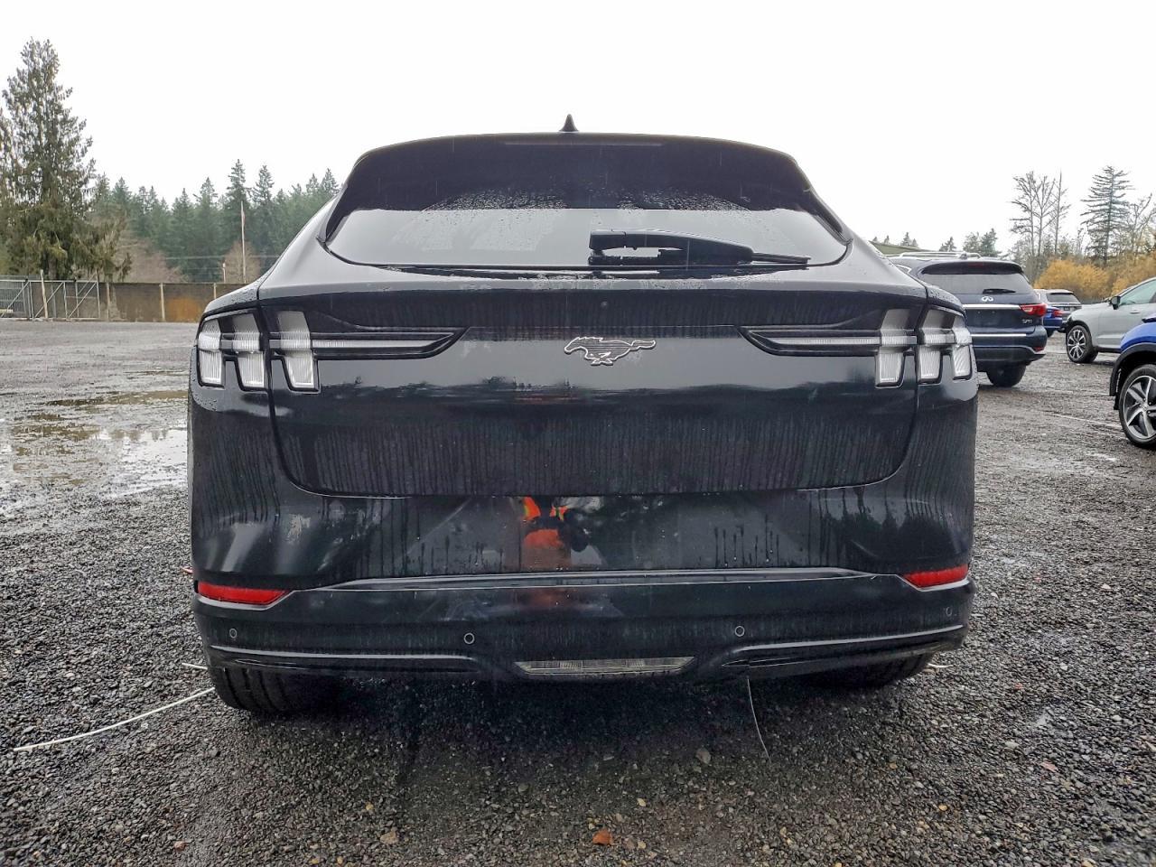 2021 Ford Mustang Mach-E Premium - Фото 6