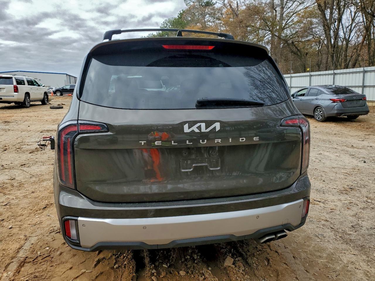 2023 Kia Telluride Sx - Image 6