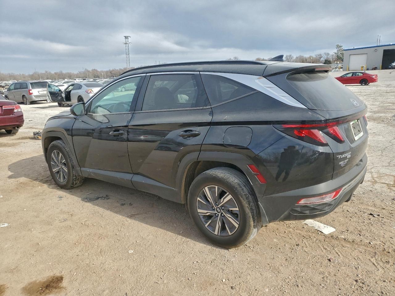 2024 Hyundai Tucson Blue - Фото 2
