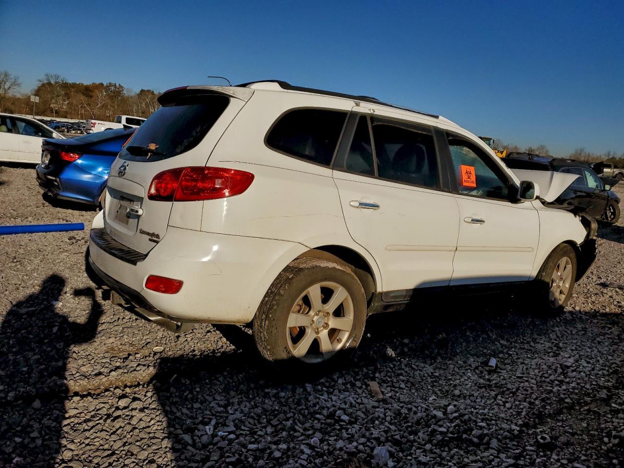 2007 Hyundai Santa Fe Se - Фото 3