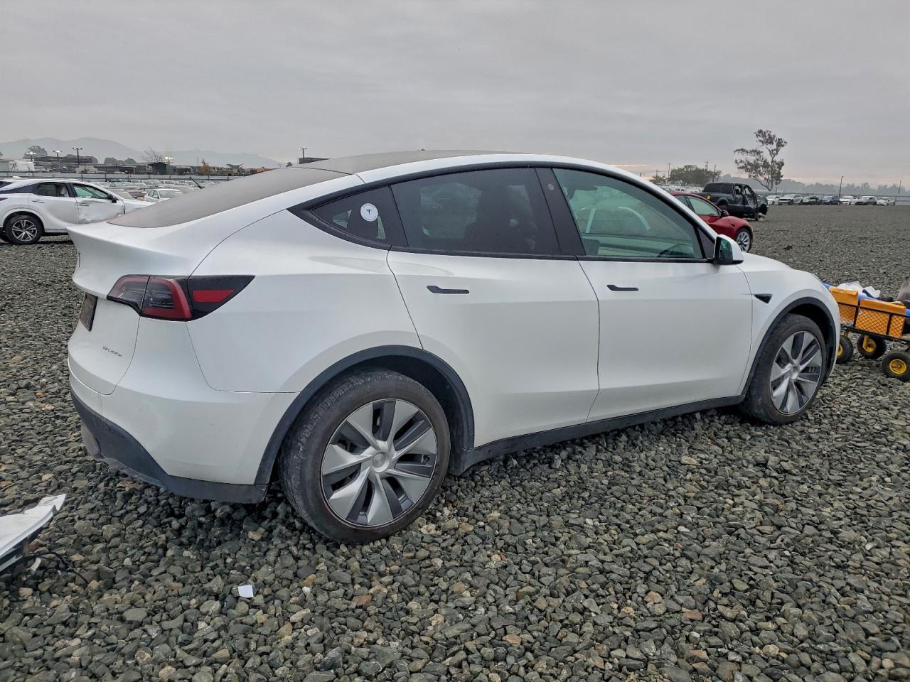 2023 Tesla Model Y - Image 3