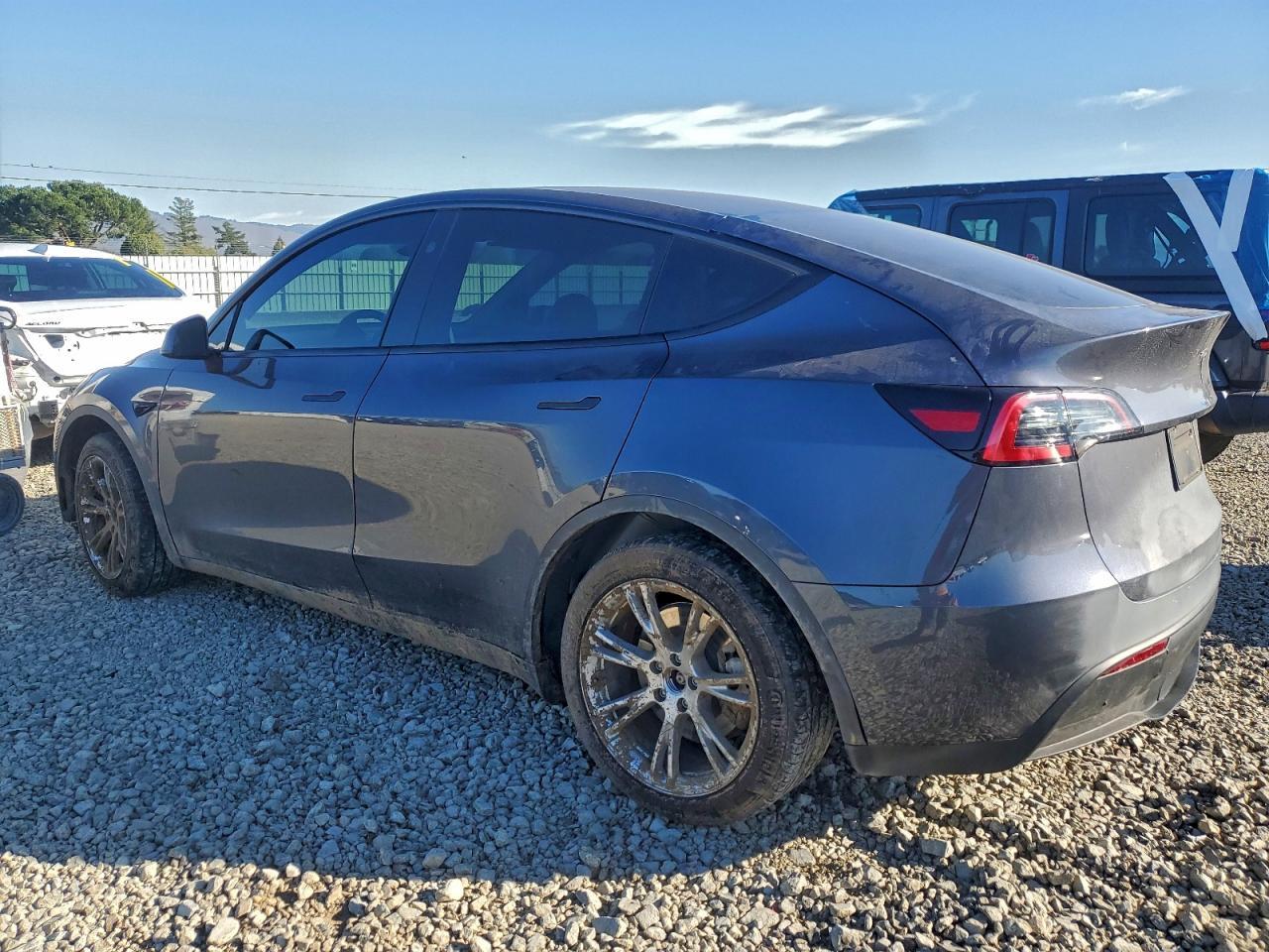 2023 Tesla Model Y - Фото 2