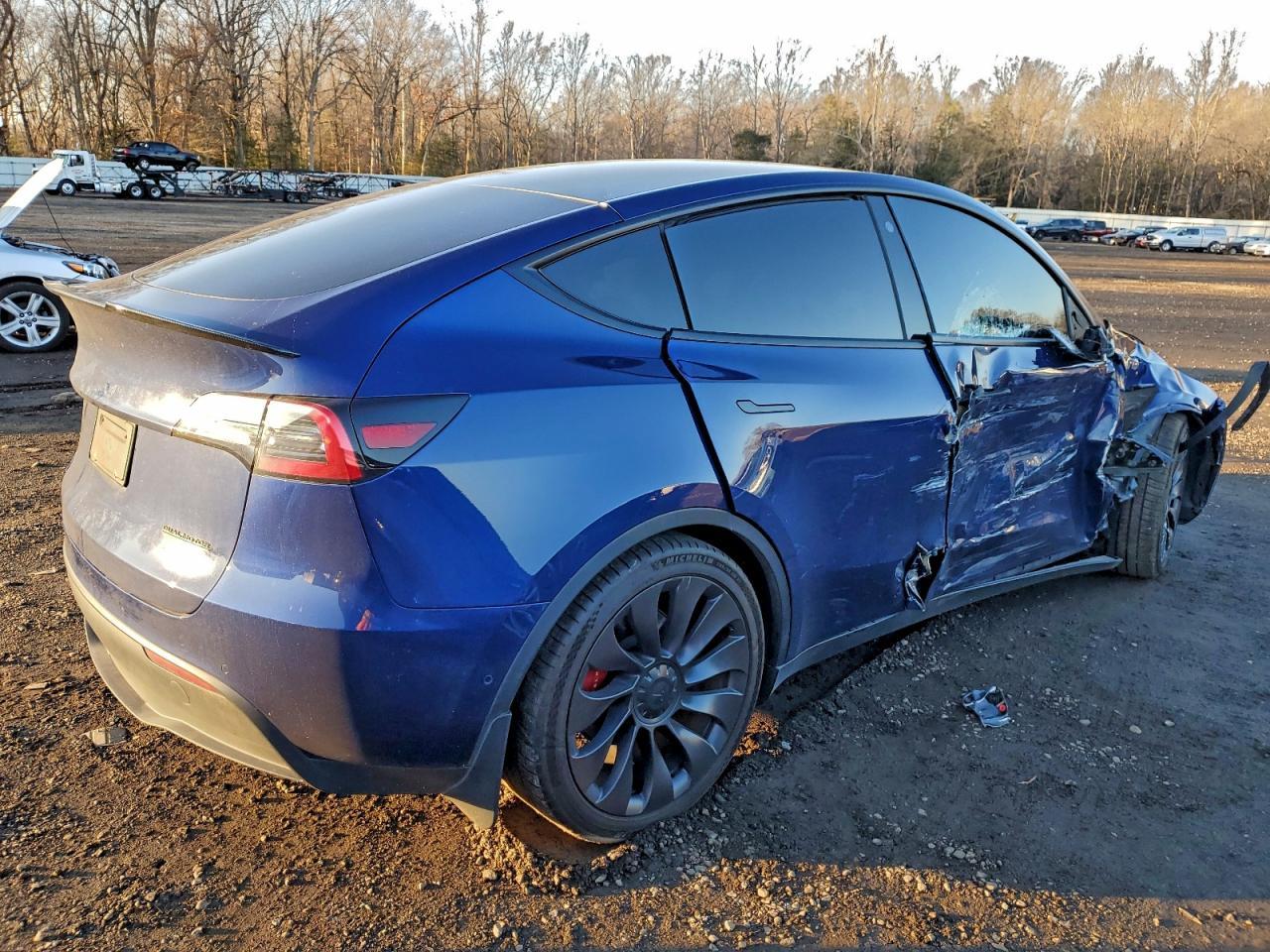 2021 Tesla Model Y - Фото 3