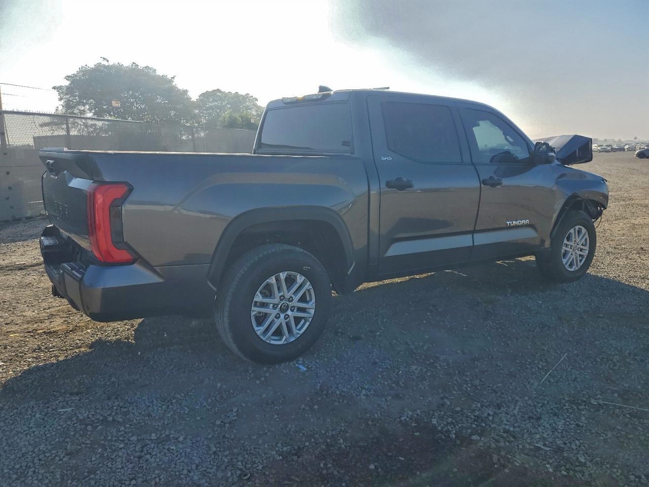 2024 Toyota Tundra Crewmax Sr - Фото 3