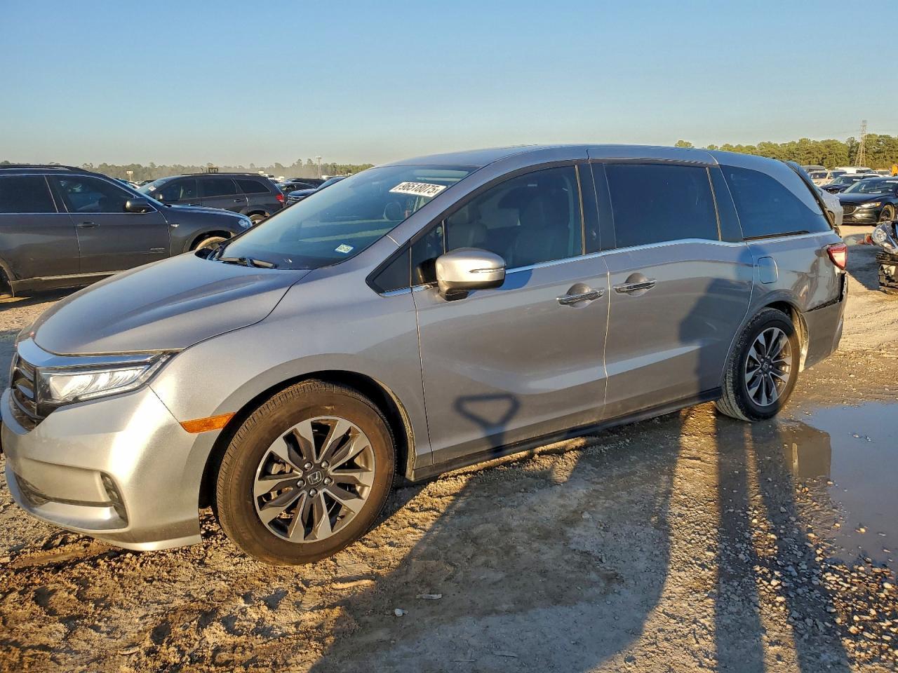 2023 Honda Odyssey Exl