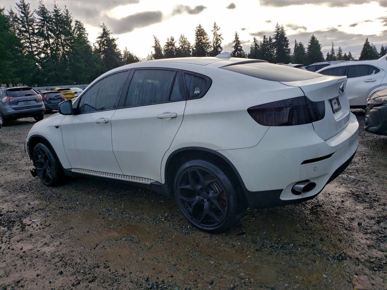 2014 BMW X6 xDrive35I - Фото 2