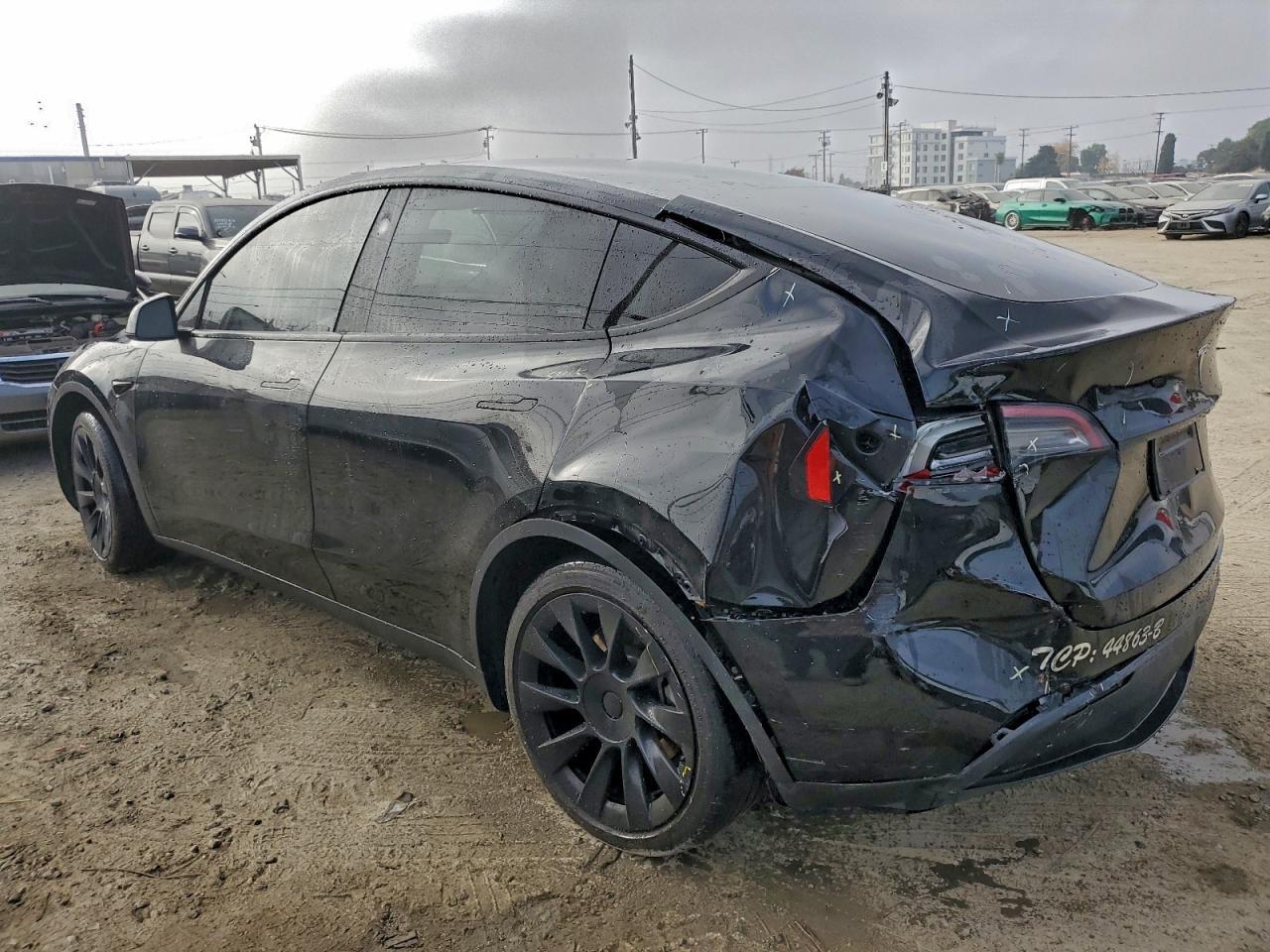 2023 Tesla Model Y - Фото 2