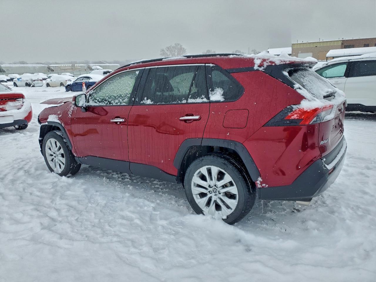 2019 Toyota Rav4 Limited - Фото 2