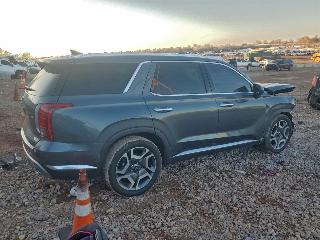 2023 Hyundai Palisade Limited - Фото 3