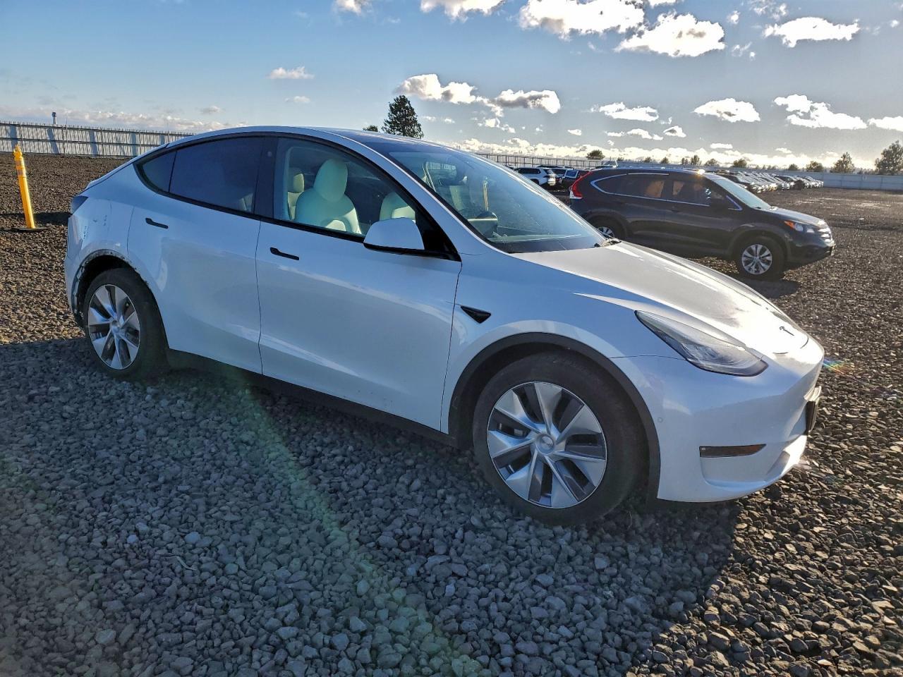 2021 Tesla Model Y - Фото 4