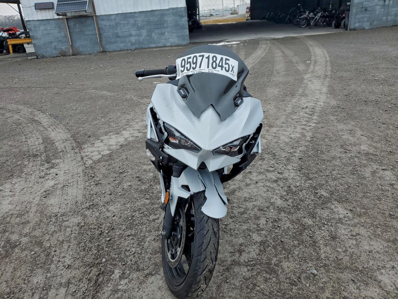 2025 Kawasaki Ex500 - Фото 2