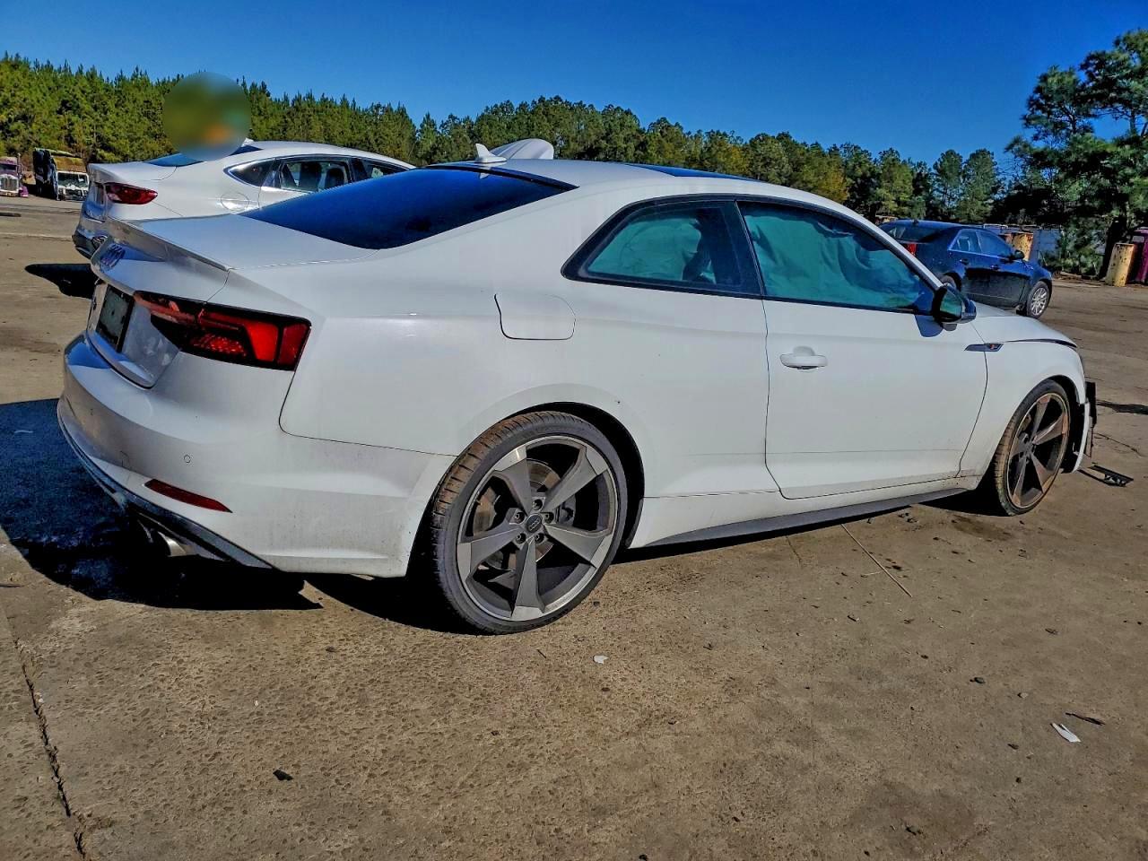 2019 Audi S5 Premium Plus - Фото 3