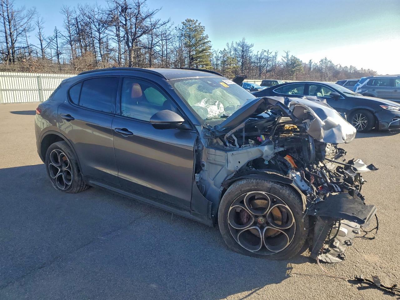 2019 Alfa Romeo Stelvio Ti - Фото 4